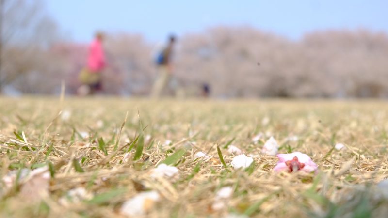 春は自律神経も乱やすい～気を整えよう～