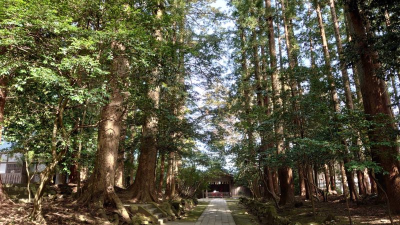 「因縁」から学ぶ