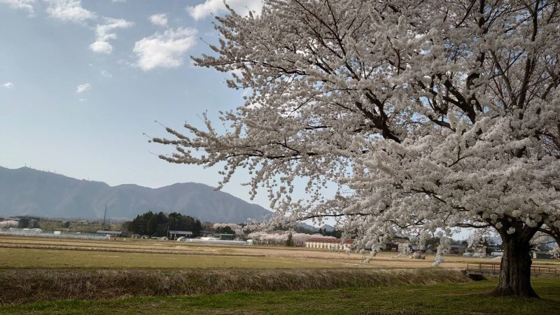 幸運の扉を開くための一日の過ごし方【２】