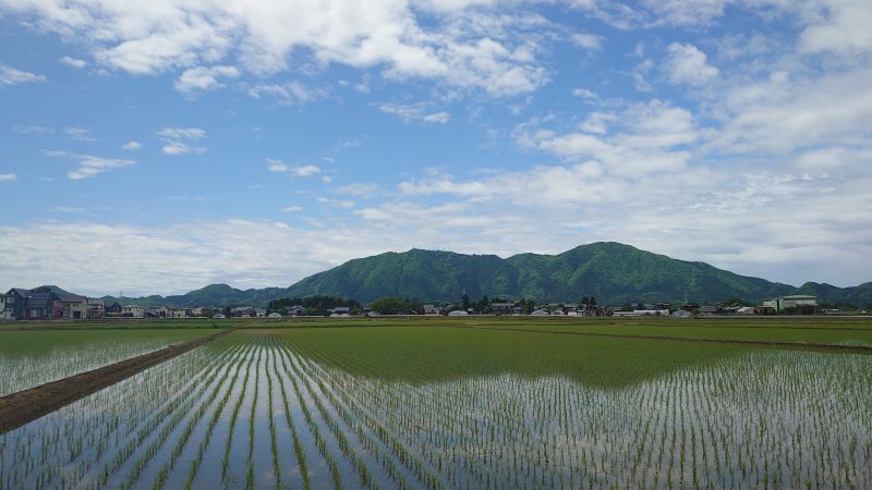 職場の人間関係に悩むあなたへ