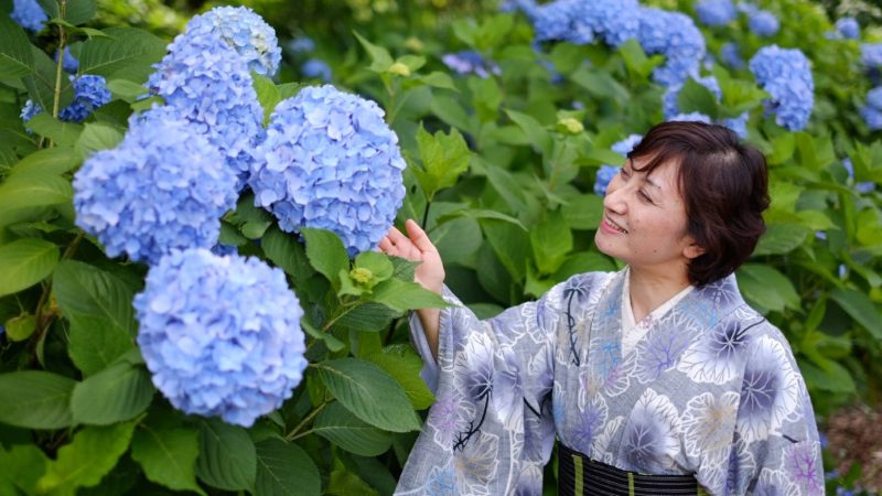 あいさつの力を知る