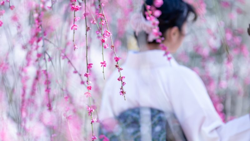 【新潟】4月梅と桜なでしこ和美人撮影会